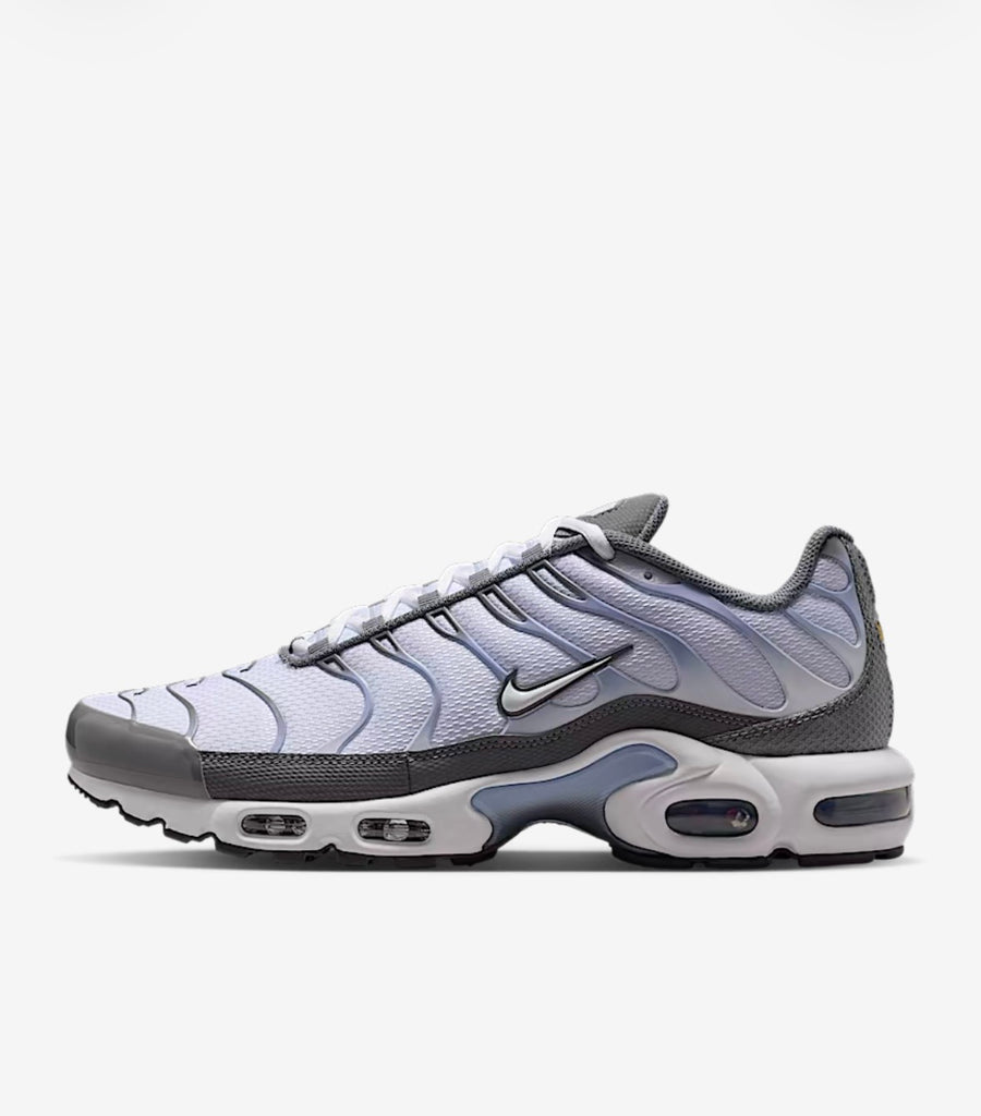 Air Max TN - Blanc et Violet